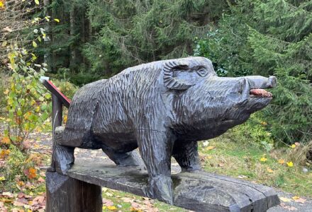 2024 – Schulenberg